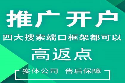 推广开户费用案例分析报告